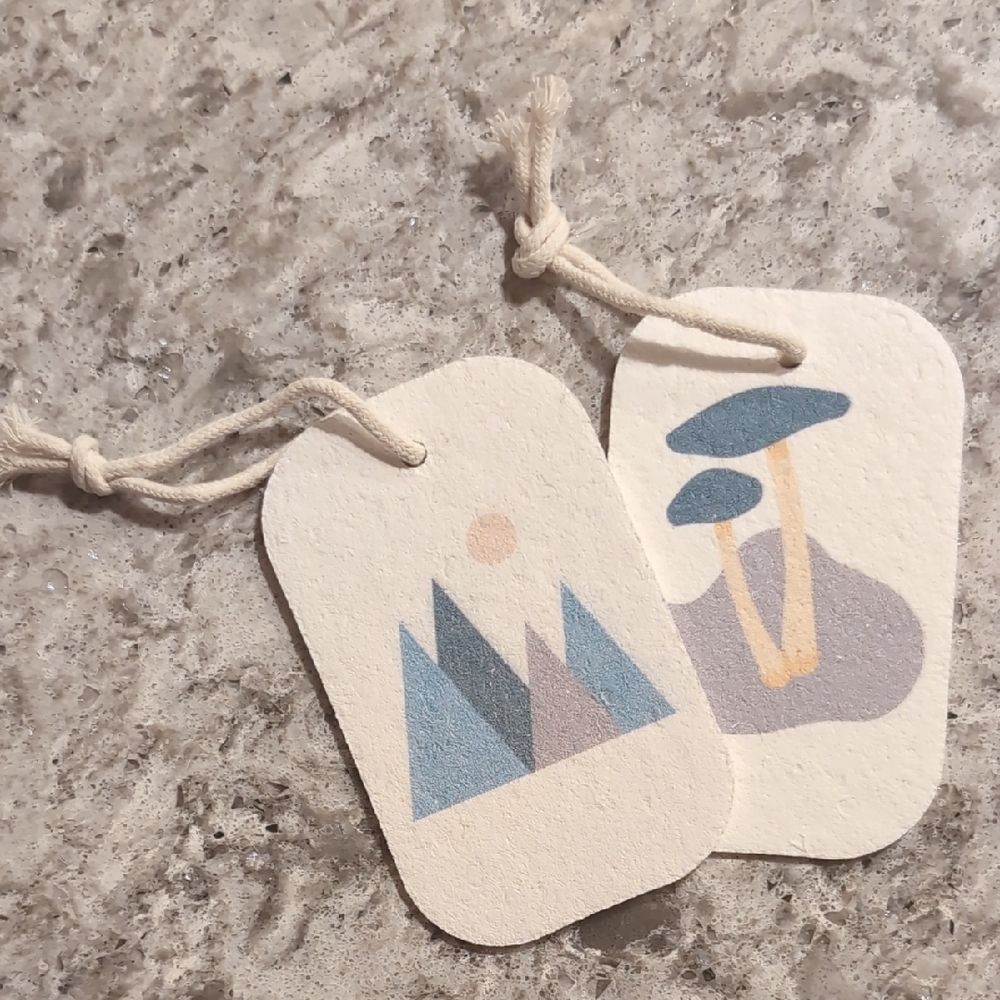 Pop Up Cellulose Sponges with Mountain and Mushroom Design
